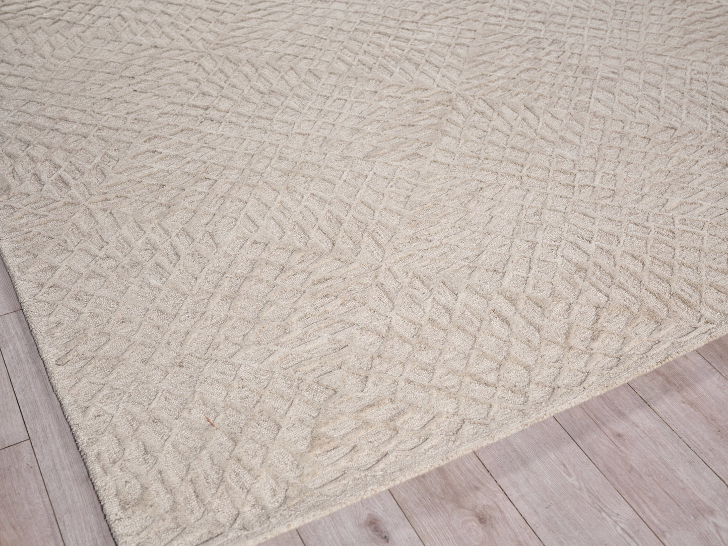 EXQUISITE RUGS   Sandro Indoor Hand Tufted    - 7150-2'X3'