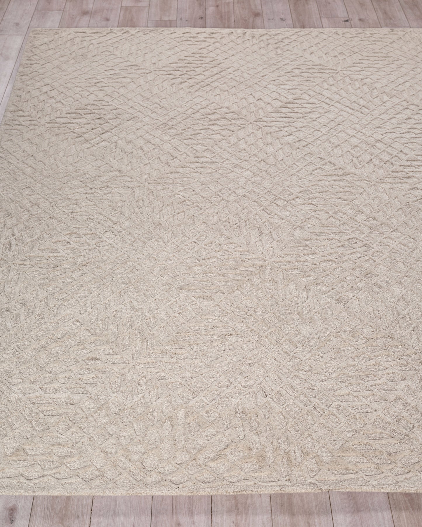 EXQUISITE RUGS   Sandro Indoor Hand Tufted    - 7150-4'X6'