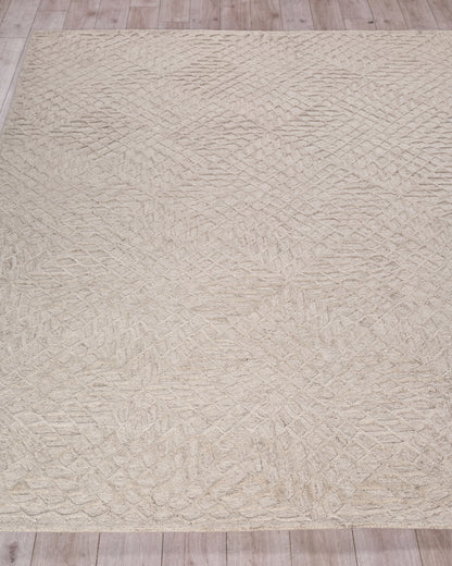 EXQUISITE RUGS   Sandro Indoor Hand Tufted    - 7150-4'X6'