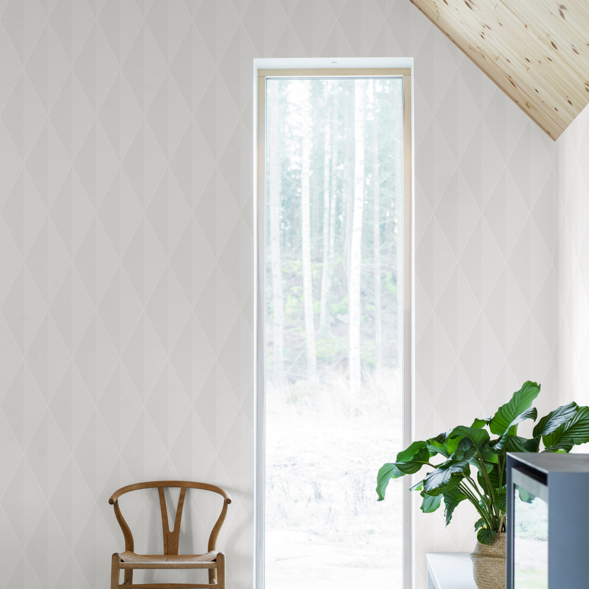 SCHUMACHER  Borastapeter ZACK L   BONE   - 7161