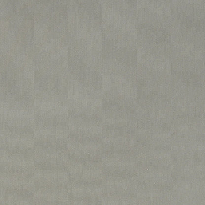 Neutral light gray-beige fabric texture with fine weave, soft matte finish, suitable for upholstery or apparel.