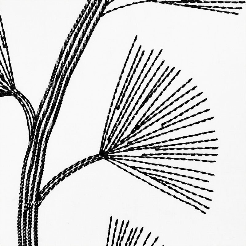 Black & white botanical line drawing of fan-shaped palm fronds with curved stems.