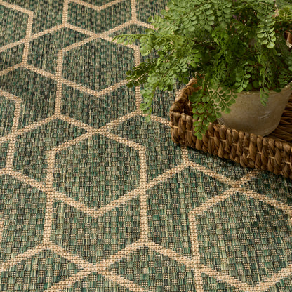 Teal & beige geometric woven rug with hex pattern; green fern in concrete pot on a braided wicker tray.