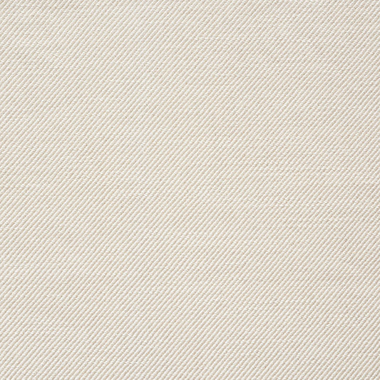 SCHUMACHER  PERFECT BASICS: BLENDS HURSTON TEXTURES,HIGH PERFORMANCE TEXTURES,HIGH PERFORMANCE NATURAL   - 73540