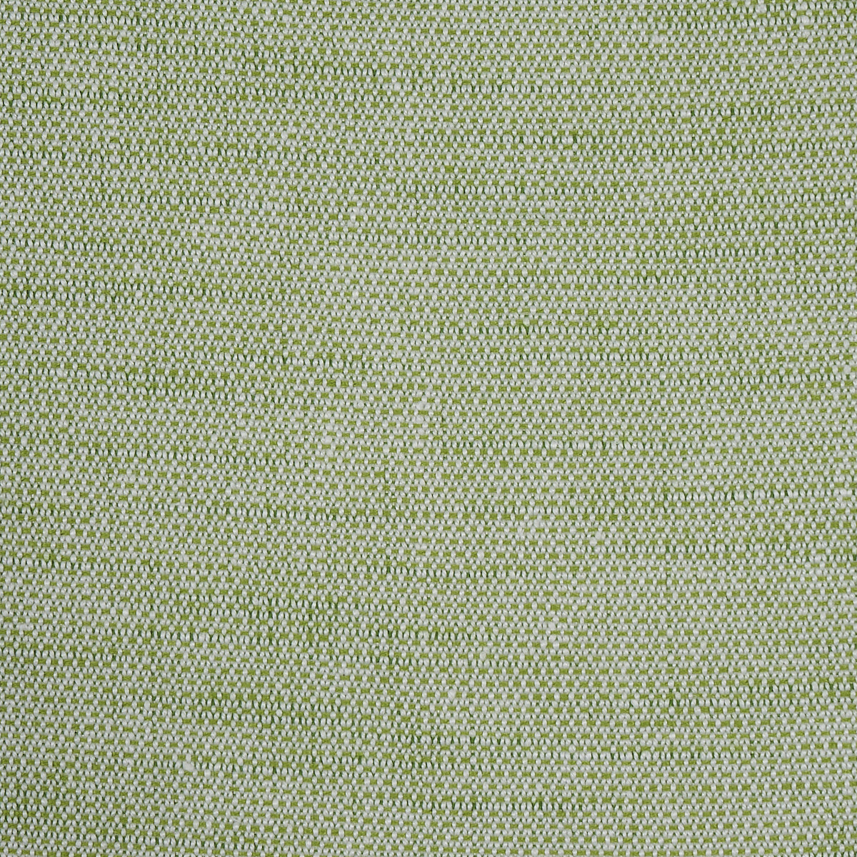 SCHUMACHER  PERFECT BASICS: INDOOR/OUTDOOR CAMARILLO WEAVE INDOOR/OUTDOOR INDOOR/OUTDOOR,PATTERN WOVENS,HIGH PERFORMANCE INDOOR/OUTDOOR,PATTERN WOVENS,HIGH PERFORMANCE LEAF   - 73876