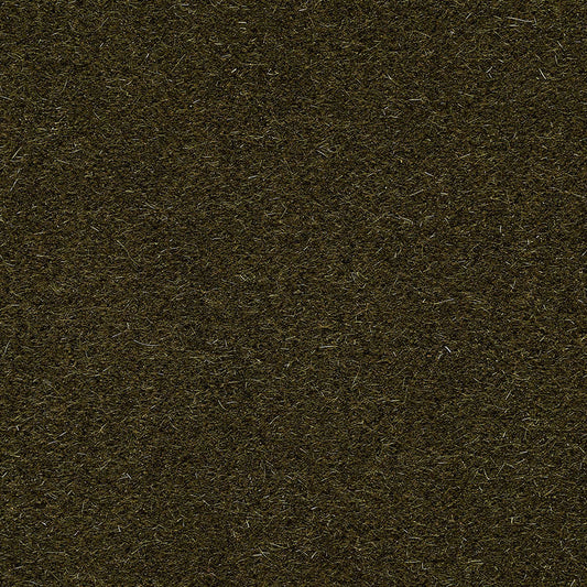 SCHUMACHER  Perfect Basics: Velvet San Carlo Mohair Velvet VELVETS VELVETS Olive   - 74500