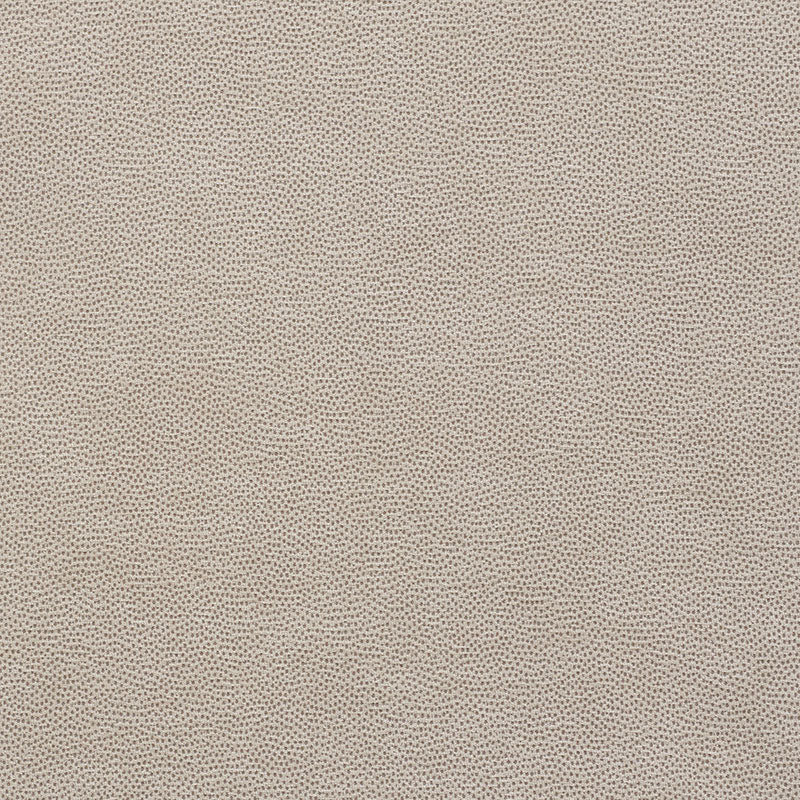 Beige chenille upholstery fabric with a soft, textured surface.
