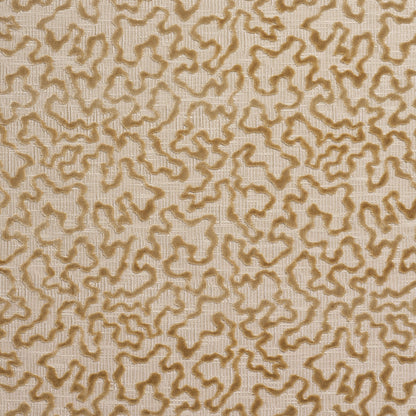 SCHUMACHER FABRIC  CUT & PATTERNED VELVETS JANIS VELVET   CHAMPAGNE   - 75224