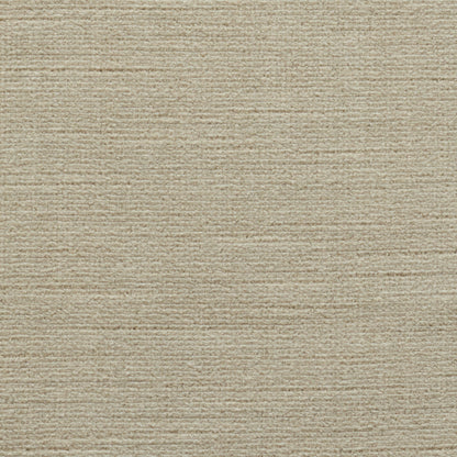 Beige textured fabric with subtle horizontal stripes; woven material suitable for upholstery or rug swatch.