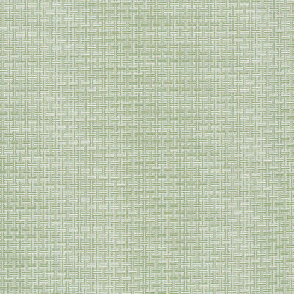 SCHUMACHER  INDOOR/OUTDOOR: PRINTS & WOVENS BRICKELL INDOOR/OUTDOOR PATTERNED WOVENS,INDOOR/OUTDOOR,HIGH PERFORMANCE PATTERNED WOVENS,INDOOR/OUTDOOR,HIGH PERFORMANCE LEAF   - 75931