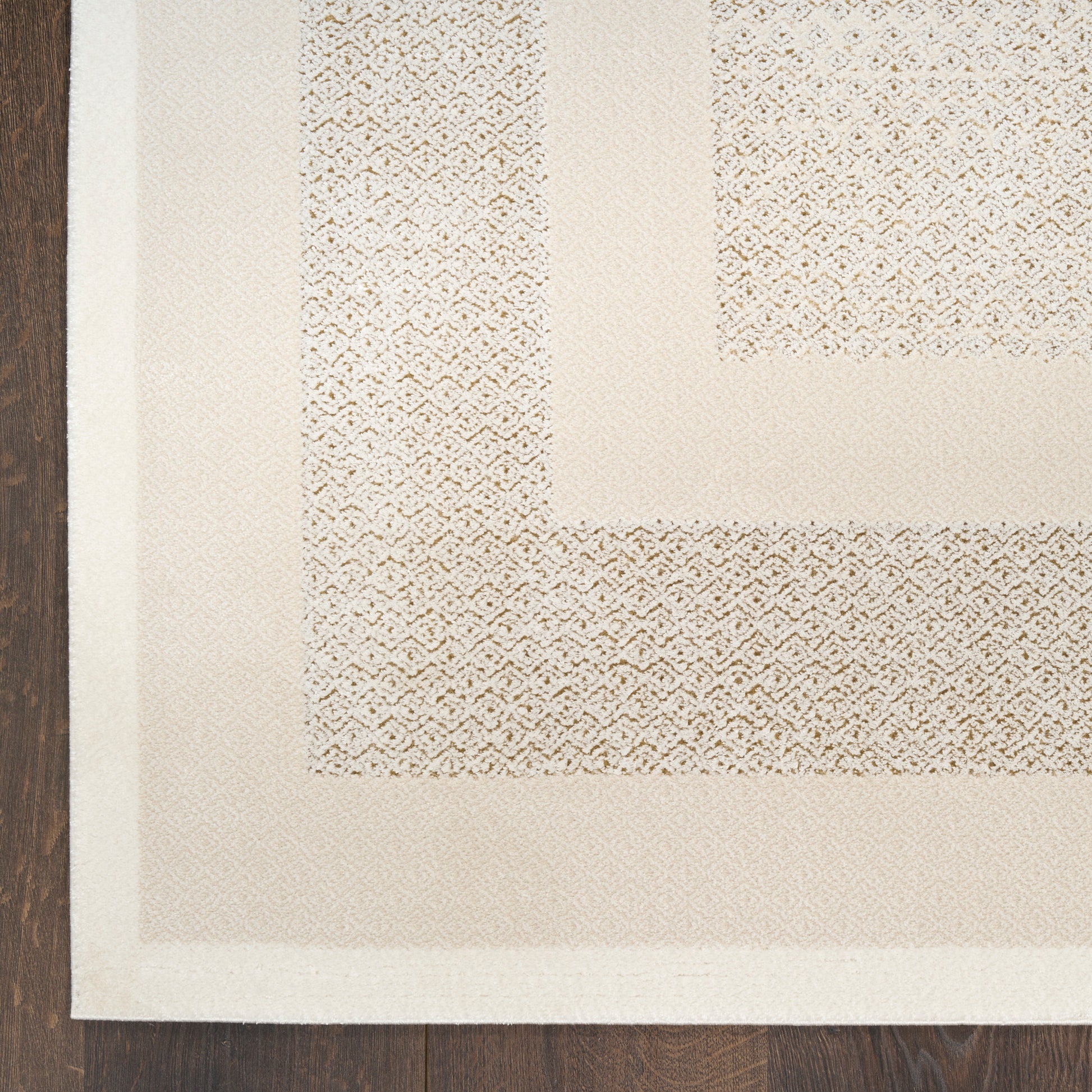 Beige area rug with cream border & subtle geometric woven pattern, laid on dark wooden floor.