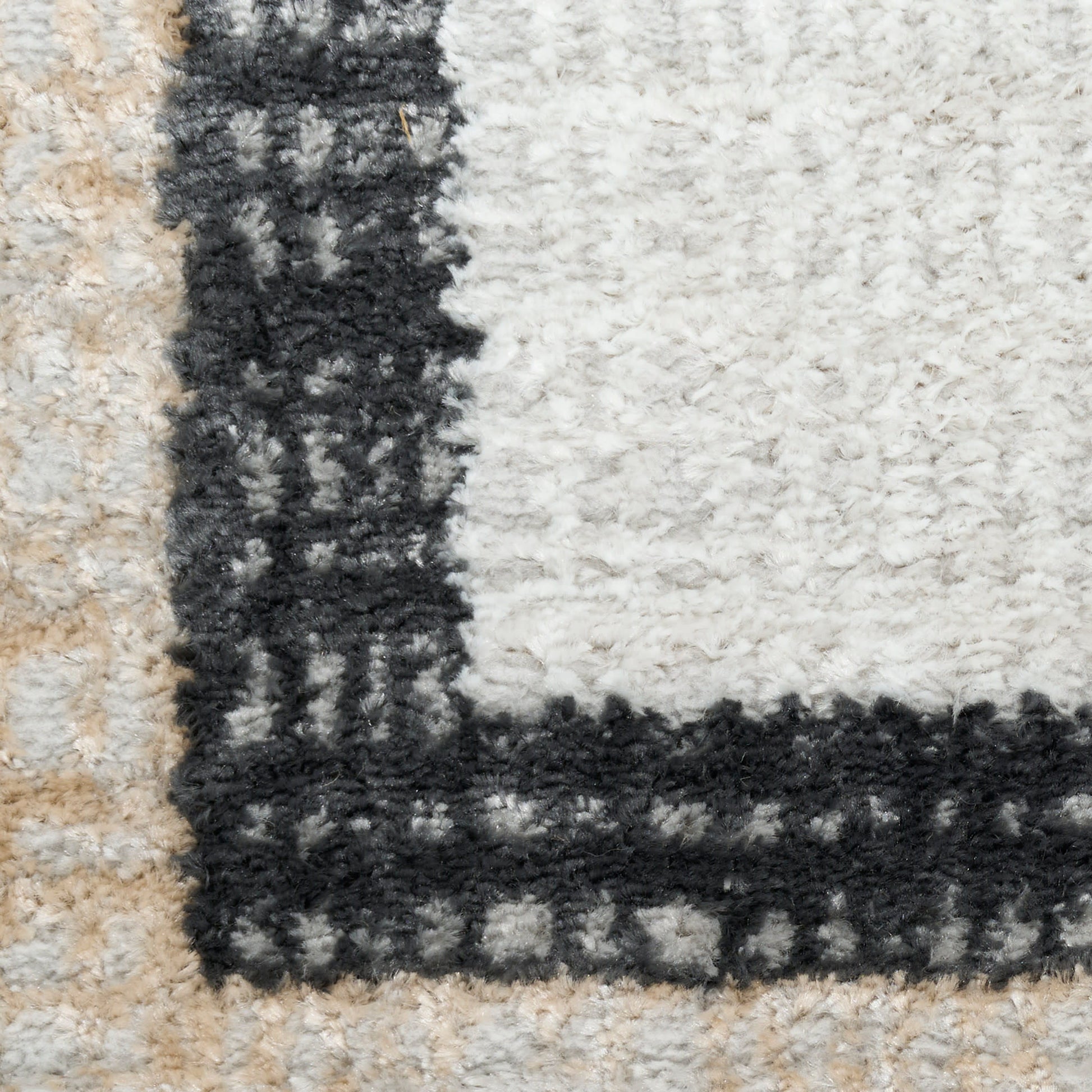Close-up of cream shag rug with a thick black border and beige accents, fluffy pile.