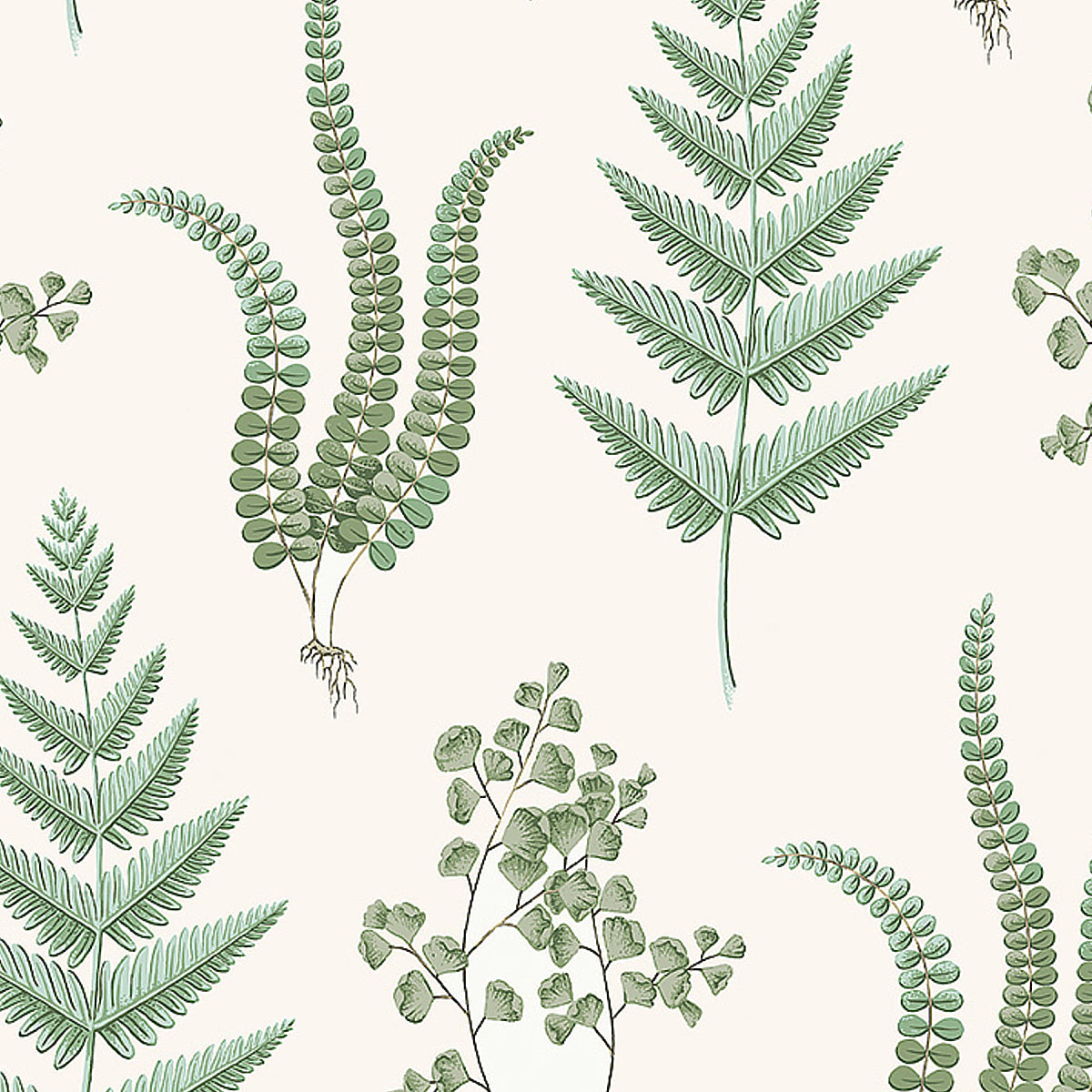 SCHUMACHER WALLCOVERING  BORASTAPETER HERBA   LEAF   - 7657