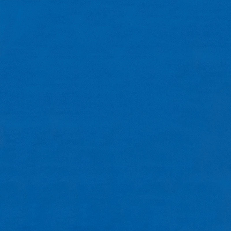 Solid royal blue background with subtle texture.