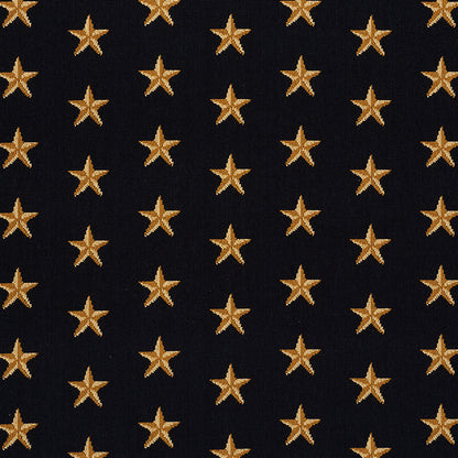 SCHUMACHER  CUT & PATTERNED VELVETS STAR ??PINGL?? WOVEN WOVEN BLACK   - 77420