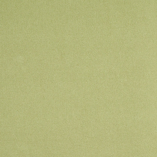 SCHUMACHER  PERFECT BASICS: COTTON ALBERT PERFORMANCE COTTON PLAINS PLAINS GREEN   - 77810