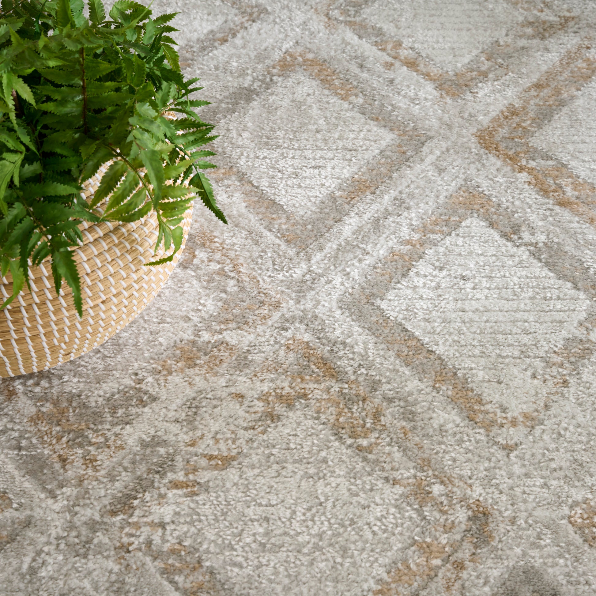 Green fern in a natural woven rattan basket on a cream-gray geometric rug with diamond motifs