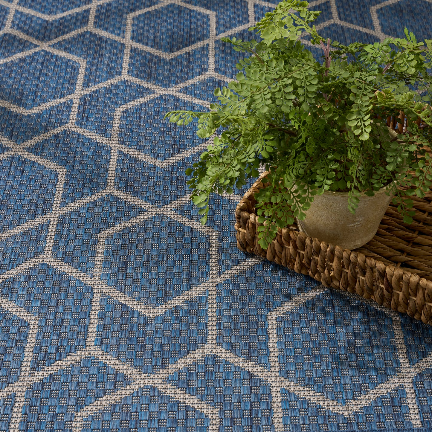 Blue geometric rug with white hex pattern and woven texture; potted fern sits on a natural wicker basket.