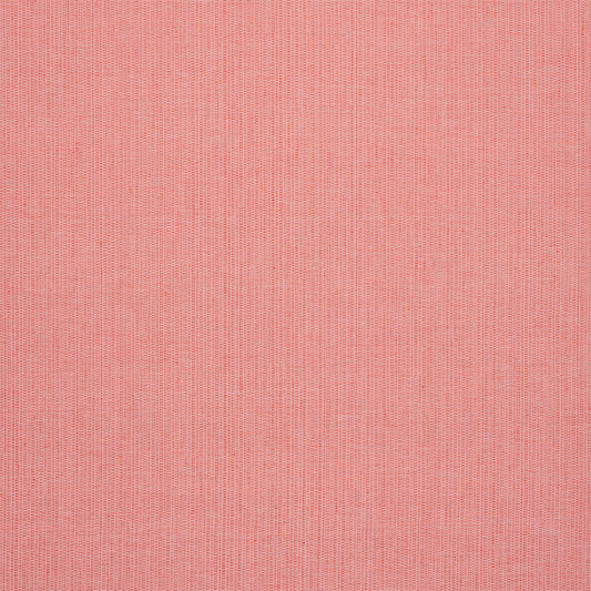 SCHUMACHER  A RUM FELLOW ISPA HAND WOVEN PLAIN PLAINS PLAINS BLUSH   - 78871