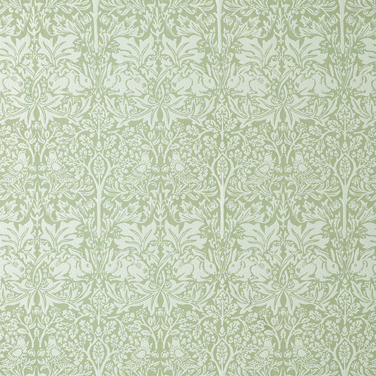 STOUT TEXTILES  MULTIPURPOSE,JACQUARD TRANSITIONAL,, NOVELTY PISTACHIO   - 7888-4