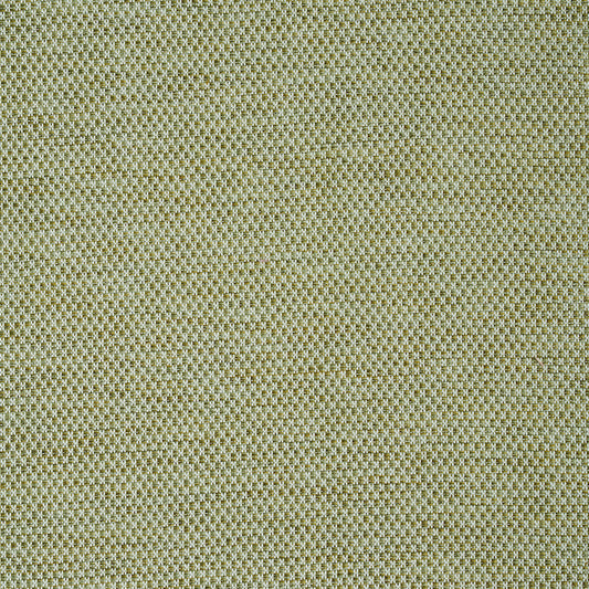 SCHUMACHER  A RUM FELLOW MOMO HAND WOVEN TEXTURE PATTERN WOVENS PATTERN WOVENS FERN   - 78933