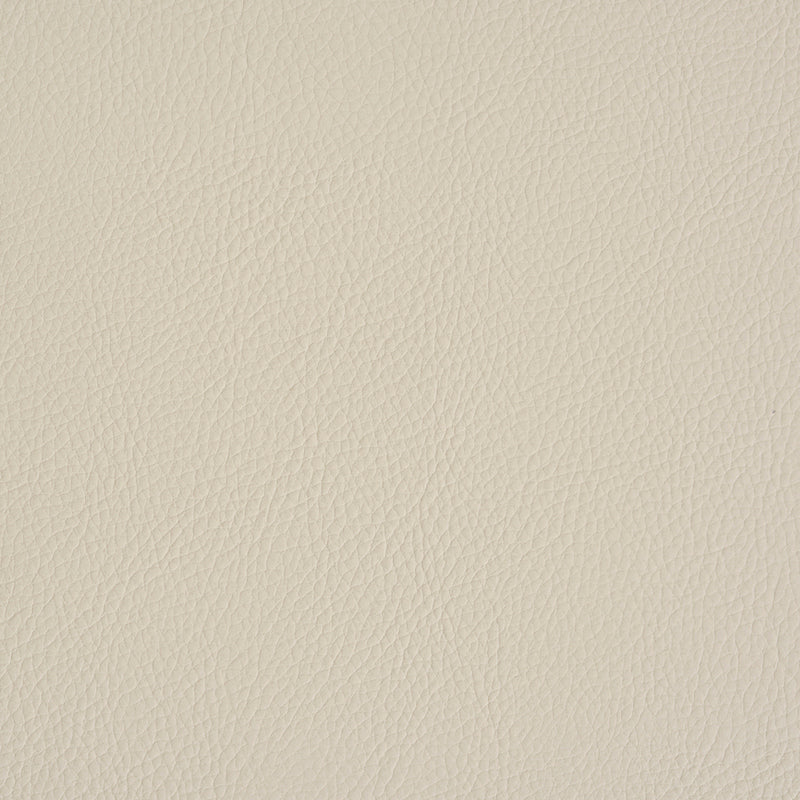 SCHUMACHER  PERFECT BASICS: VEGAN LEATHER & SUEDE VEGAN LEATHER INDOOR/OUTDOOR LEATHERS & FAUX LEATHER,HIGH PERFORMANCE LEATHERS & FAUX LEATHER,HIGH PERFORMANCE CREAM   - 79552