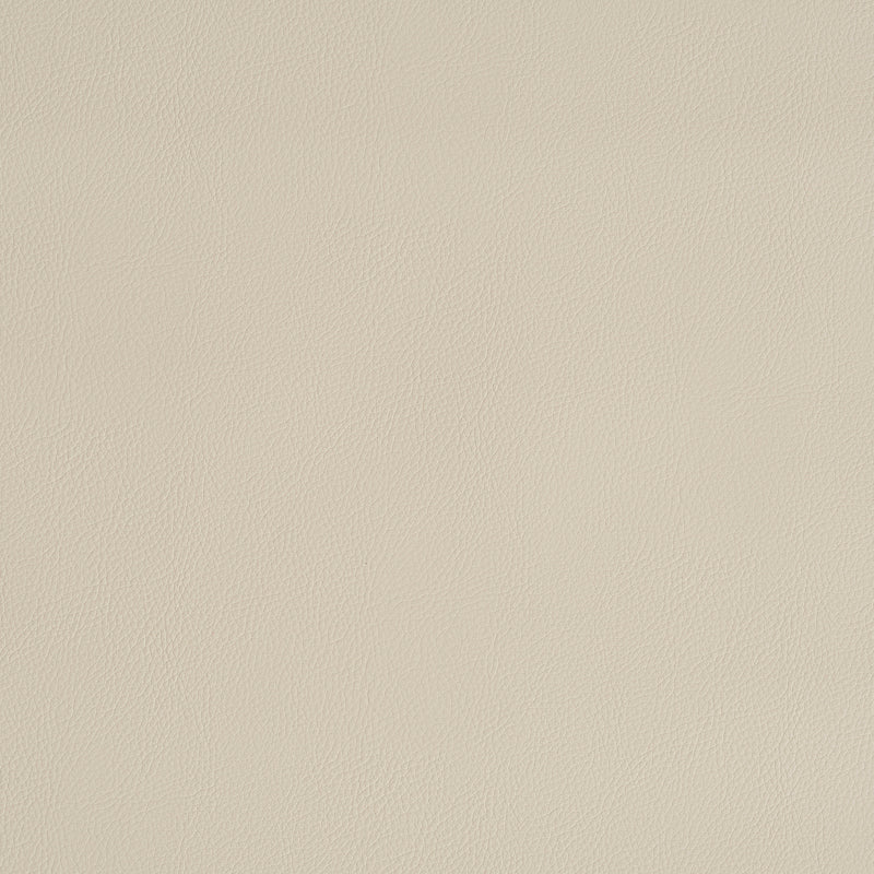 SCHUMACHER  PERFECT BASICS: VEGAN LEATHER & SUEDE VEGAN LEATHER INDOOR/OUTDOOR LEATHERS & FAUX LEATHER,HIGH PERFORMANCE LEATHERS & FAUX LEATHER,HIGH PERFORMANCE CREAM   - 79552