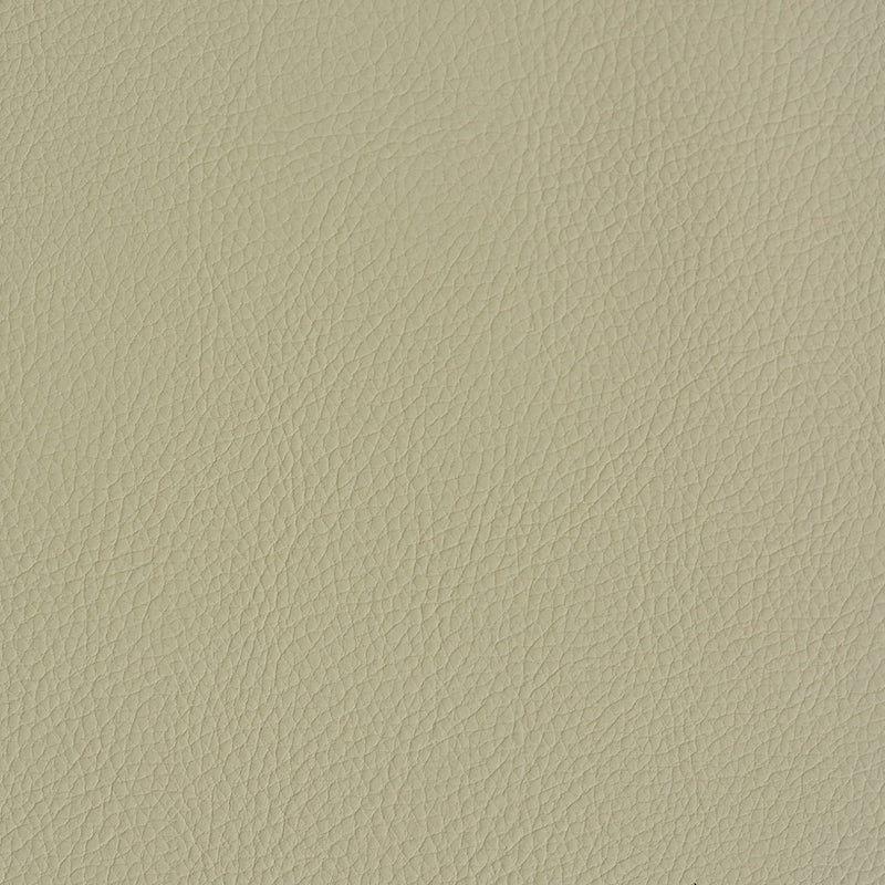 SCHUMACHER  PERFECT BASICS: VEGAN LEATHER & SUEDE VEGAN LEATHER INDOOR/OUTDOOR LEATHERS & FAUX LEATHER,HIGH PERFORMANCE LEATHERS & FAUX LEATHER,HIGH PERFORMANCE DUNE   - 79553