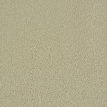 SCHUMACHER  PERFECT BASICS: VEGAN LEATHER & SUEDE VEGAN LEATHER INDOOR/OUTDOOR LEATHERS & FAUX LEATHER,HIGH PERFORMANCE LEATHERS & FAUX LEATHER,HIGH PERFORMANCE DUNE   - 79553