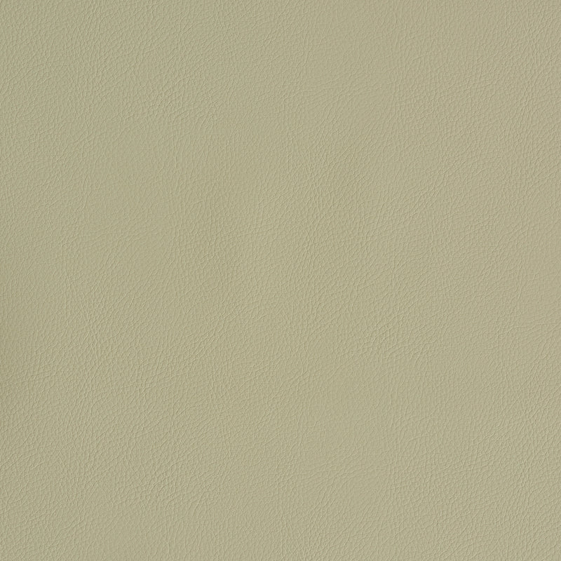 SCHUMACHER  PERFECT BASICS: VEGAN LEATHER & SUEDE VEGAN LEATHER INDOOR/OUTDOOR LEATHERS & FAUX LEATHER,HIGH PERFORMANCE LEATHERS & FAUX LEATHER,HIGH PERFORMANCE DUNE   - 79553