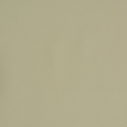 SCHUMACHER  PERFECT BASICS: VEGAN LEATHER & SUEDE VEGAN LEATHER INDOOR/OUTDOOR LEATHERS & FAUX LEATHER,HIGH PERFORMANCE LEATHERS & FAUX LEATHER,HIGH PERFORMANCE DUNE   - 79553