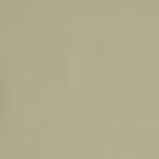 SCHUMACHER  PERFECT BASICS: VEGAN LEATHER & SUEDE VEGAN LEATHER INDOOR/OUTDOOR LEATHERS & FAUX LEATHER,HIGH PERFORMANCE LEATHERS & FAUX LEATHER,HIGH PERFORMANCE DUNE   - 79553