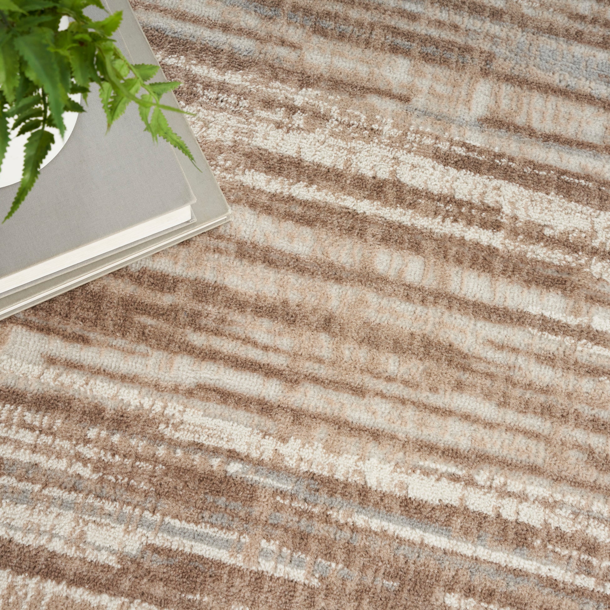 Soft, low-pile beige-brown abstract striped rug; modern decor style, shown with a green fern and stacked books.
