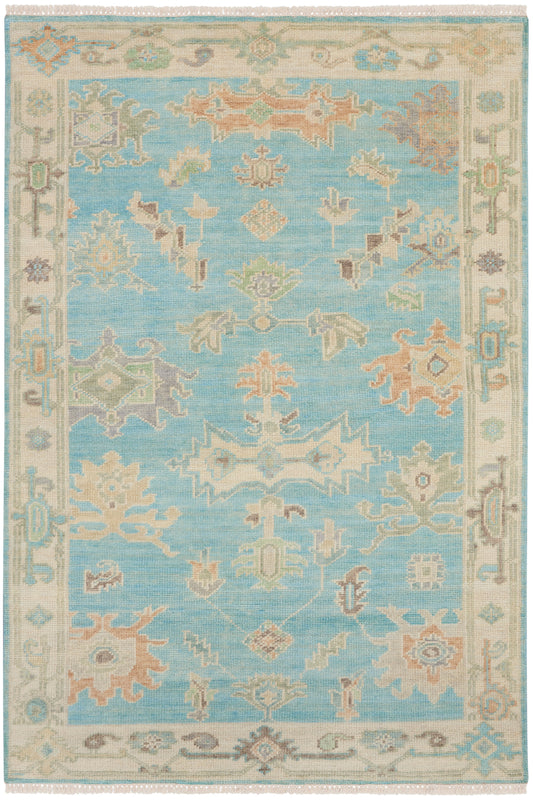 Soft blue oriental rug with pastel floral motifs and ivory border; fringed edges.