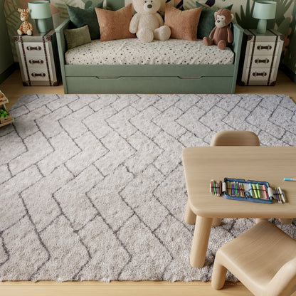 Nourison Rugs Nourison Home   Shag 9' X 12'    - 841491131619