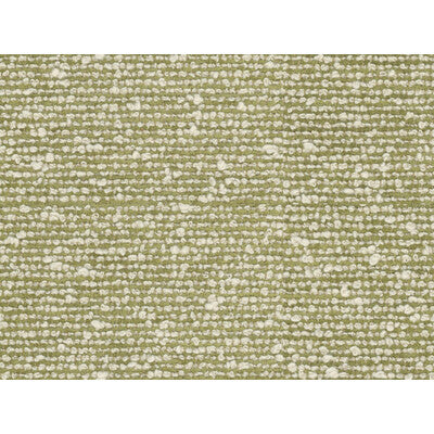 BRUNSCHWIG & FILS CHENILLE TEXTURE CELERY,,   - 8016104.3.0