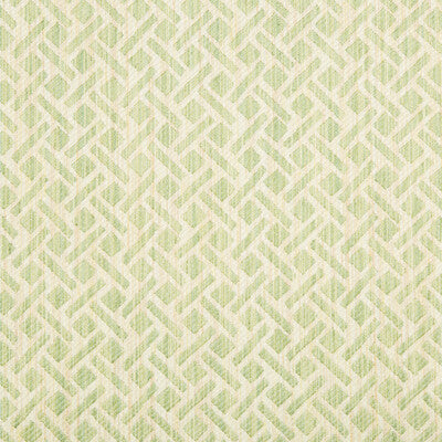 BRUNSCHWIG & FILS  SMALL SCALE CELERY,GREEN,   - 8017141.3.0