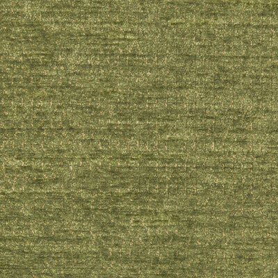 BRUNSCHWIG & FILS CHENILLE TEXTURE GREEN,OLIVE GREEN,   - 8019146.3.0