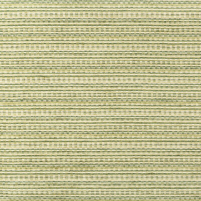 BRUNSCHWIG & FILS CHENILLE TEXTURE GREEN,GREEN,   - 8019148.3.0