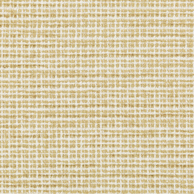 BRUNSCHWIG & FILS CHENILLE TEXTURE WHEAT,CAMEL,YELLOW   - 8019149.14.0