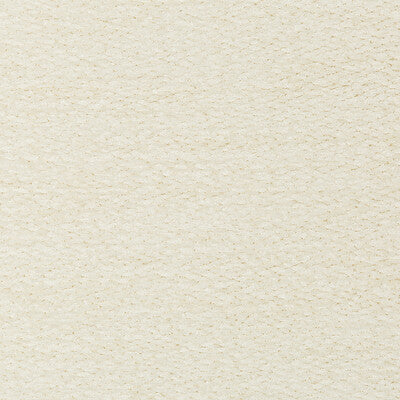 BRUNSCHWIG & FILS CHENILLE TEXTURE IVORY,IVORY,   - 8019150.1.0