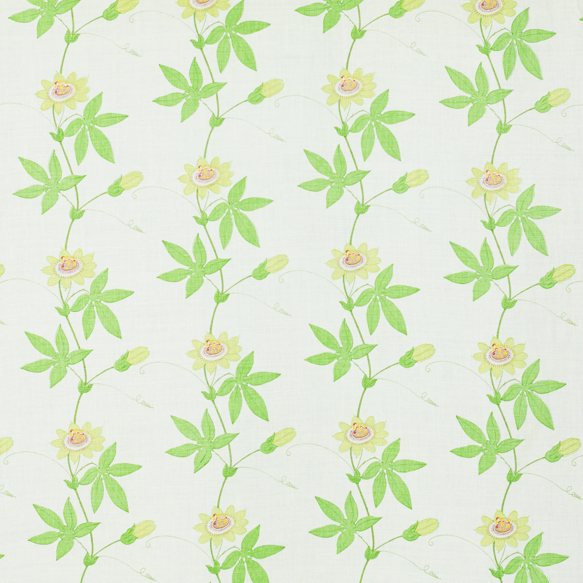 SCHUMACHER  RAOUL TEXTILES FLORA BY RAOUL PRINTS PRINTS SPRING   - 801B29