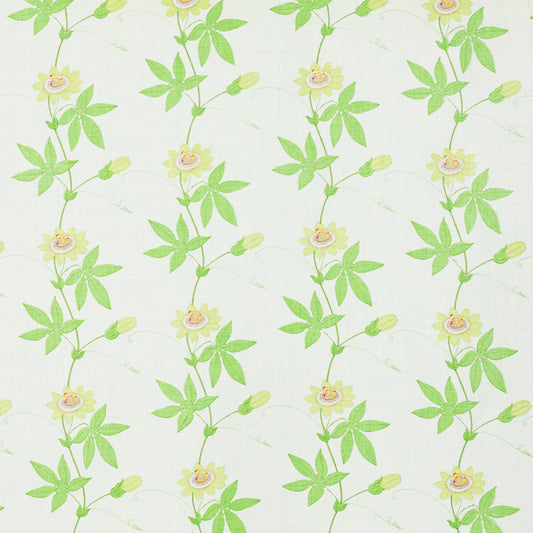 SCHUMACHER  RAOUL TEXTILES FLORA BY RAOUL PRINTS PRINTS SPRING   - 801B29