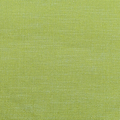 BRUNSCHWIG & FILS INDOOR / OUTDOOR SOLID GREEN,SAGE,GREEN   - 8020137.3.0