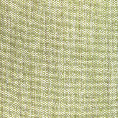 BRUNSCHWIG & FILS  TEXTURE CELERY,CELERY,GREEN   - 8022110.3.0