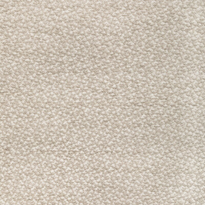 BRUNSCHWIG & FILS CHENILLE TEXTURE IVORY,BEIGE,GREY   - 8022122.11.0