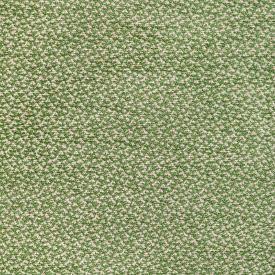 BRUNSCHWIG & FILS CHENILLE TEXTURE IVORY,GREEN,GREEN   - 8022122.3.0