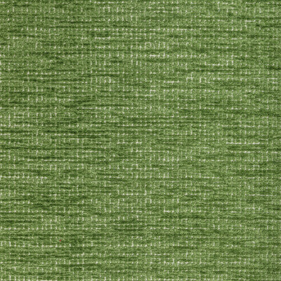 BRUNSCHWIG & FILS CHENILLE TEXTURE GREEN,GREEN,GREEN   - 8022124.3.0