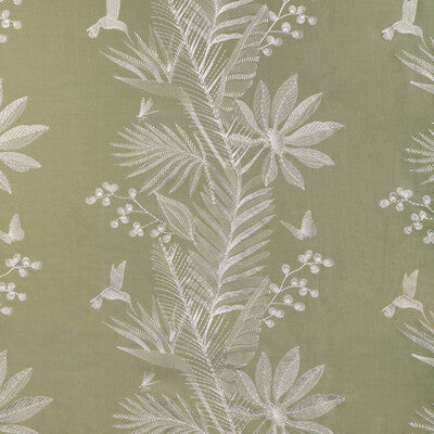 BRUNSCHWIG & FILS EMBROIDERY BOTANICAL & FLORAL GREEN,WHITE,   - 8023114.31.0