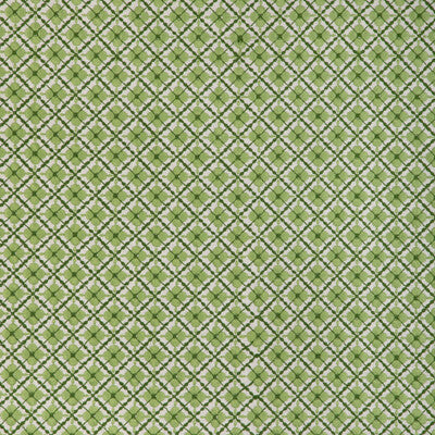 BRUNSCHWIG & FILS EMBROIDERY GEOMETRIC GREEN,GREEN,   - 8023119.330.0